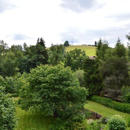 Horsky Apartman Pod Zelenou Strechou Bartosovice v Orlickych Horach Buitenkant foto