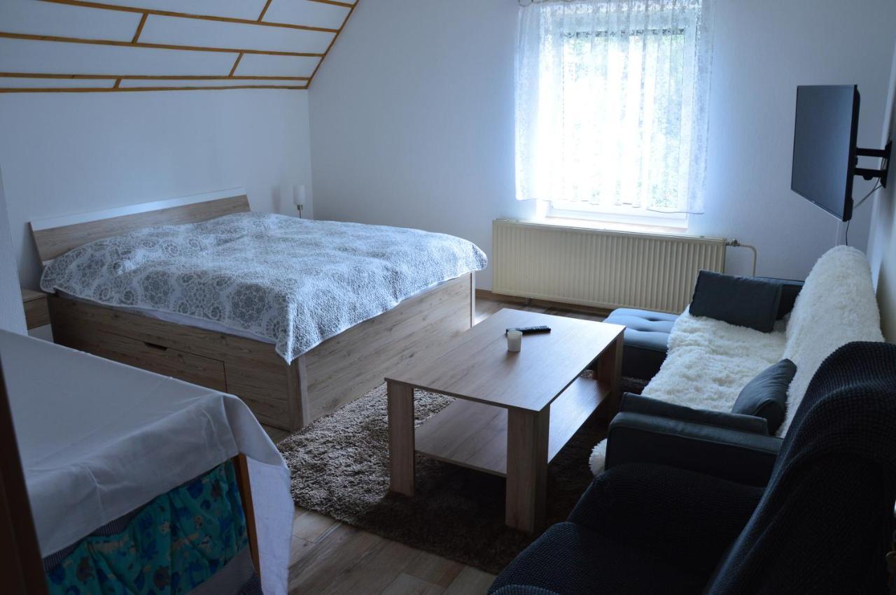 Horsky Apartman Pod Zelenou Strechou Bartosovice v Orlickych Horach Buitenkant foto