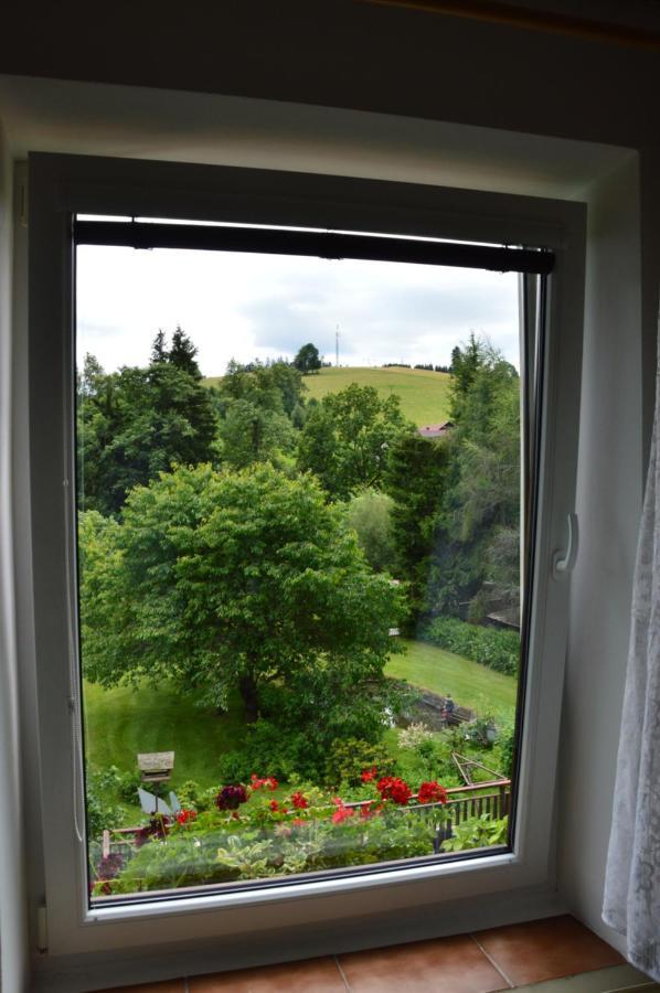Horsky Apartman Pod Zelenou Strechou Bartosovice v Orlickych Horach Buitenkant foto