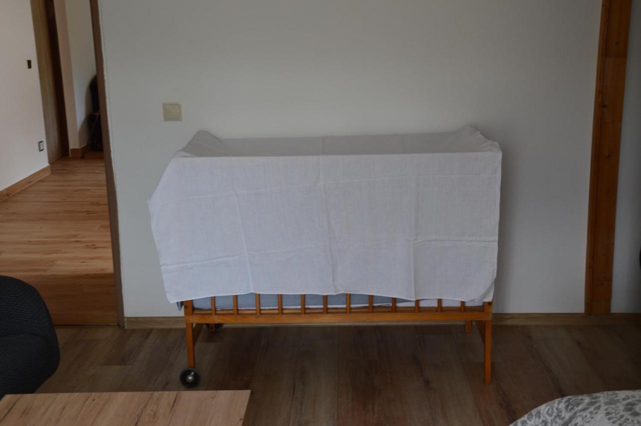 Horsky Apartman Pod Zelenou Strechou Bartosovice v Orlickych Horach Buitenkant foto