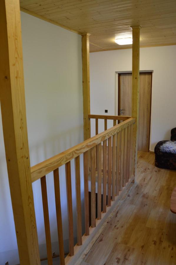 Horsky Apartman Pod Zelenou Strechou Bartosovice v Orlickych Horach Buitenkant foto