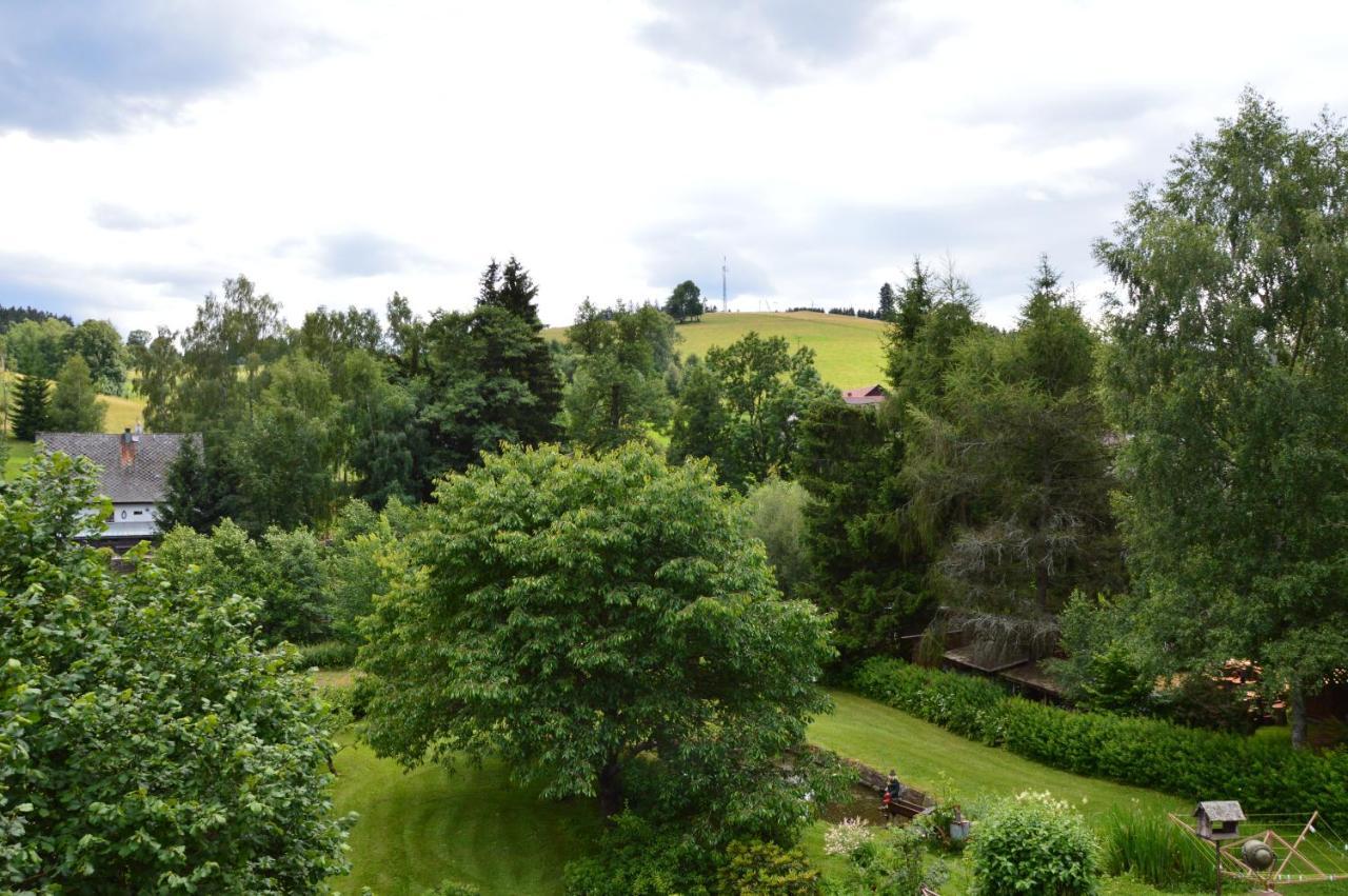 Horsky Apartman Pod Zelenou Strechou Bartosovice v Orlickych Horach Buitenkant foto