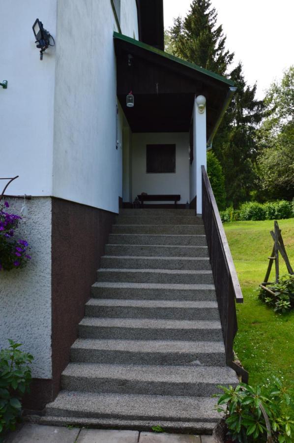 Horsky Apartman Pod Zelenou Strechou Bartosovice v Orlickych Horach Buitenkant foto