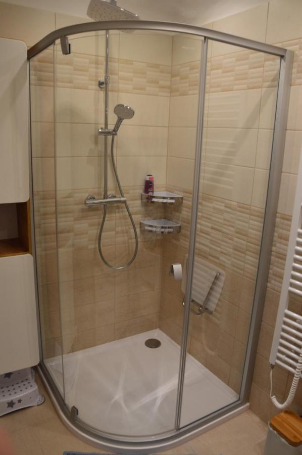 Horsky Apartman Pod Zelenou Strechou Bartosovice v Orlickych Horach Buitenkant foto