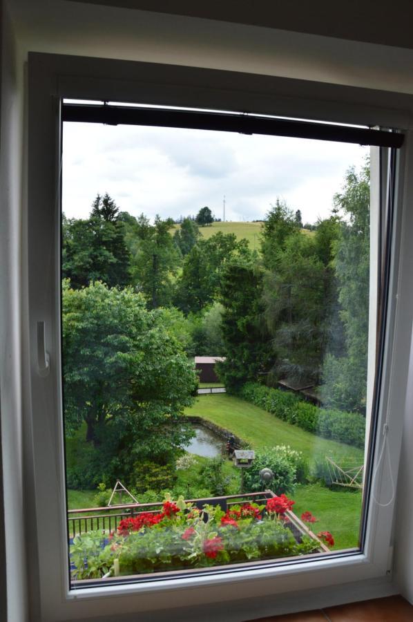 Horsky Apartman Pod Zelenou Strechou Bartosovice v Orlickych Horach Buitenkant foto