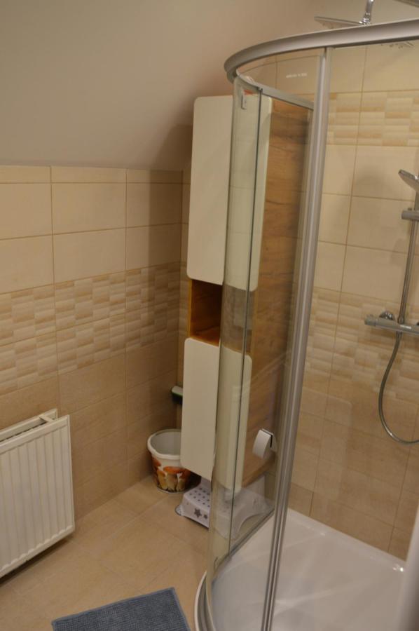 Horsky Apartman Pod Zelenou Strechou Bartosovice v Orlickych Horach Buitenkant foto